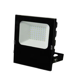 10/20W Commercial LED Outdoor Lighting Led Flood Lamp AC 220V Or DC 10-24V