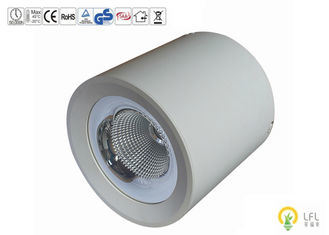 160Lm/W ไฟ LED นอก IP65 กันน้ํา ด้านผิวติดตั้ง Fixture การควบคุมสมาร์ทกับ Epistar