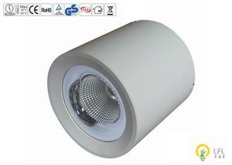50000 ชั่วโมง อายุการใช้งาน LED ประกายกลางแจ้งพาณิชย์ ด้วยประสิทธิภาพแสง 130lm / W และ IP65 กันน้ํา